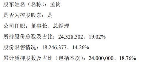 圣博润 公司控股股东新增股份质押
