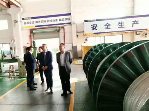 节前安全不放松,凤岗镇主要领导带队开展春节安全检查