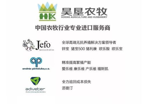 昊垦农牧 调查 如何解决2019年家禽养殖业面临的最大挑战