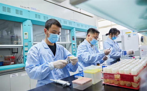 聚焦全岛封关运作准备任务清单 项目清单 压力测试清单