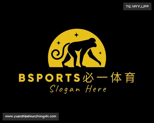 解读bsports必一体育